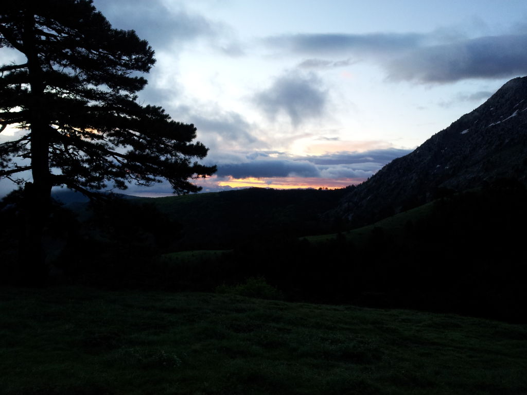 20120520_054047.jpg