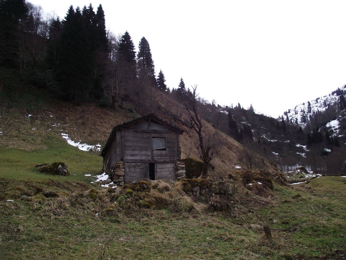 X8757.jpg