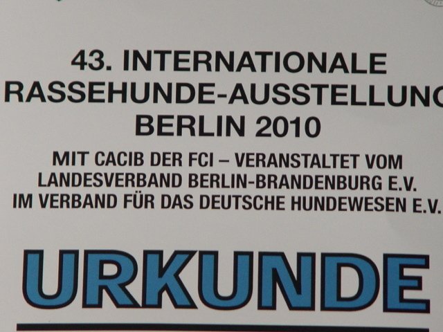 43berlinmeisterschaft20.jpg