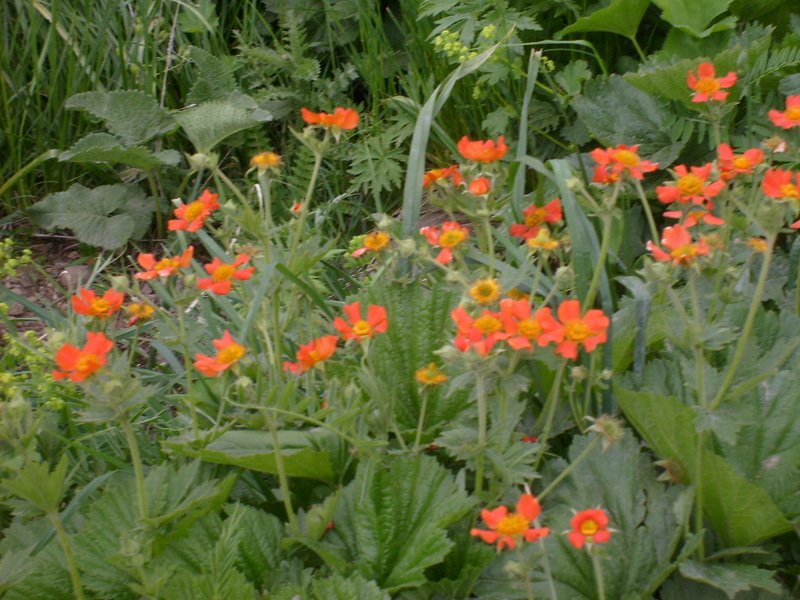 S6302534.jpg