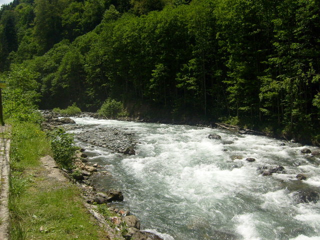 S6302450.jpg