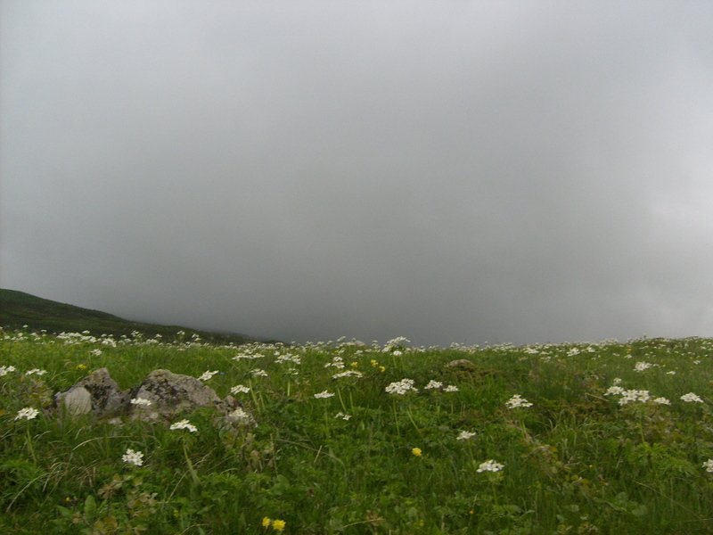 S6302552.jpg
