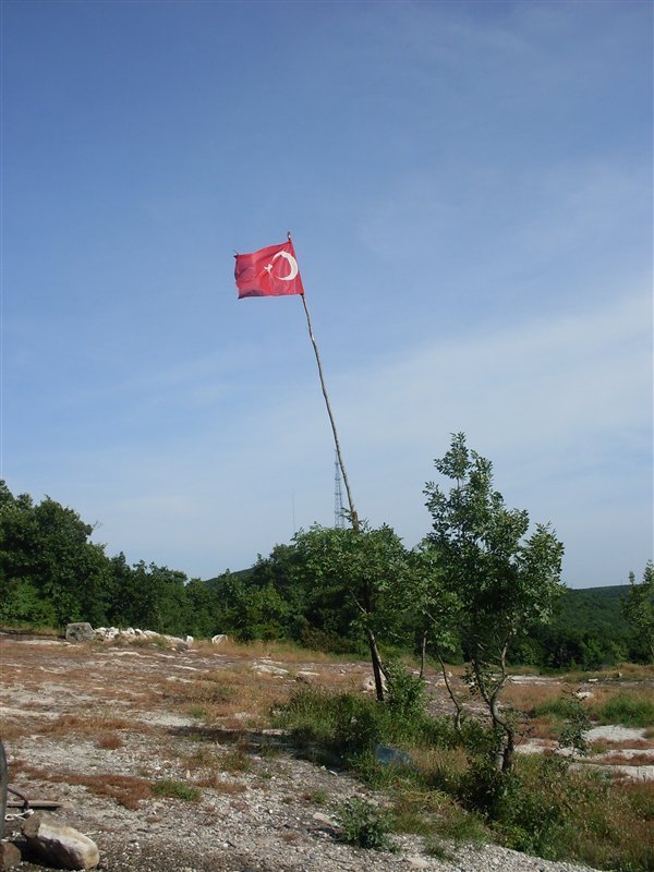 110fsg.jpg