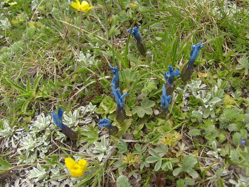 S6302512.jpg