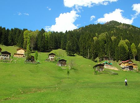 12658_100504093526_1.jpg