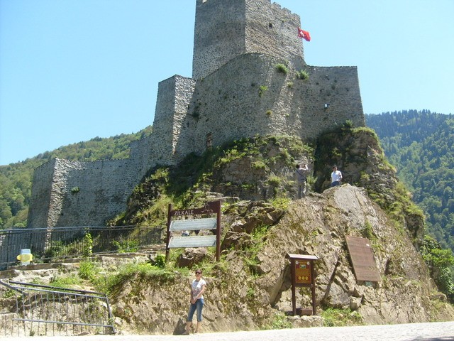 S6302446.jpg