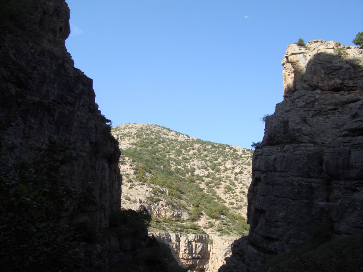 dsc01666y.jpg