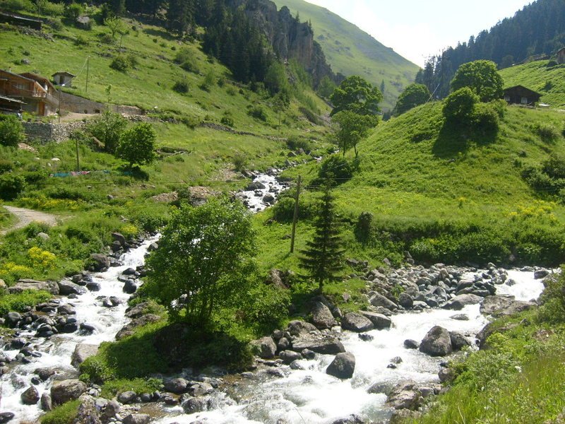 S6302457.jpg