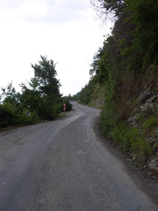 sdc10048proc3.jpg