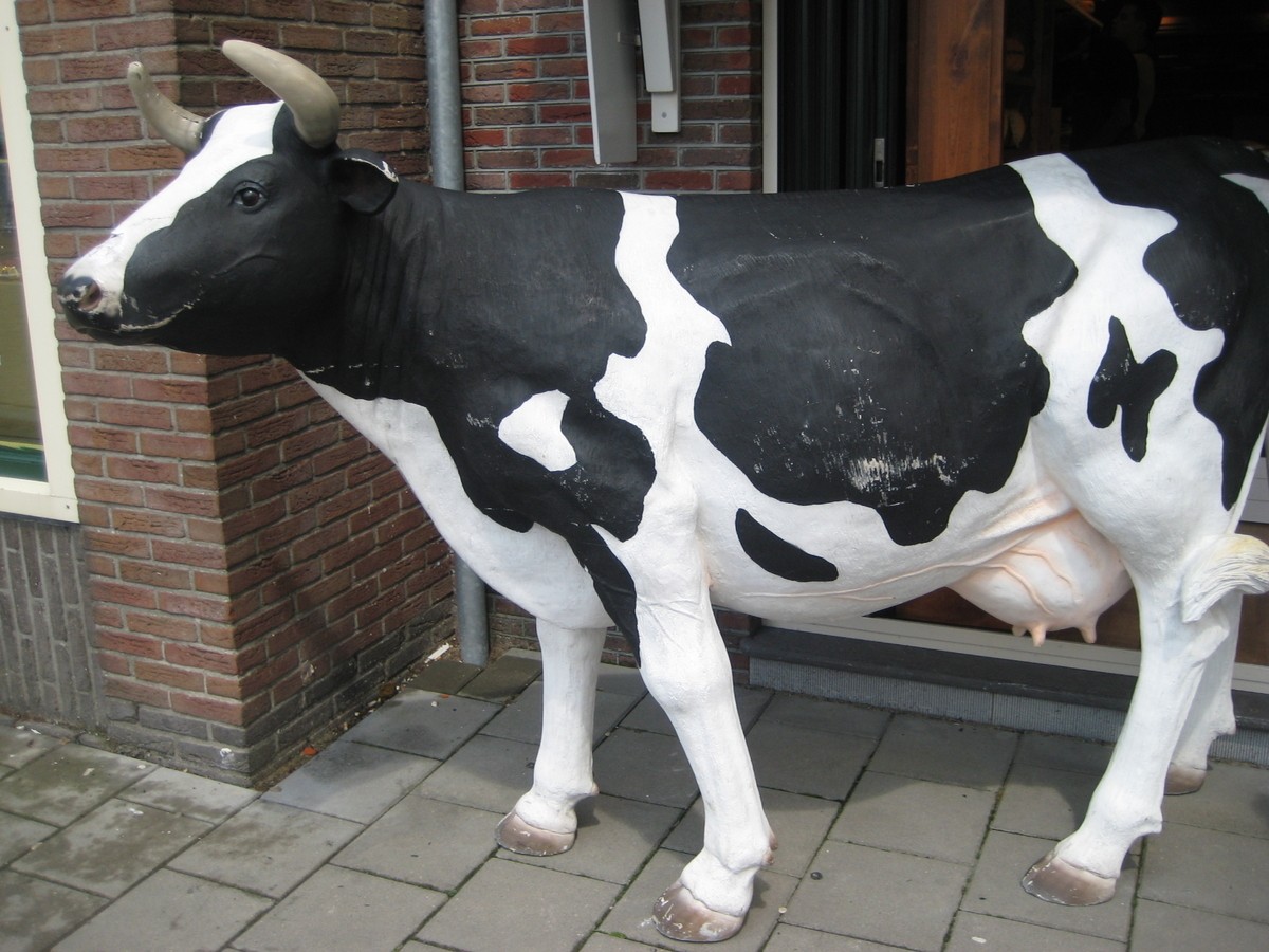 img5185v.jpg