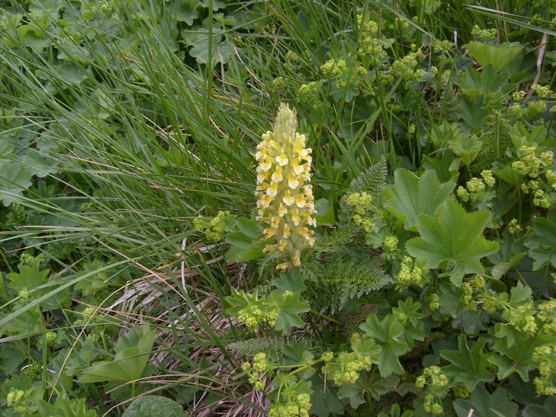 S6302548.jpg