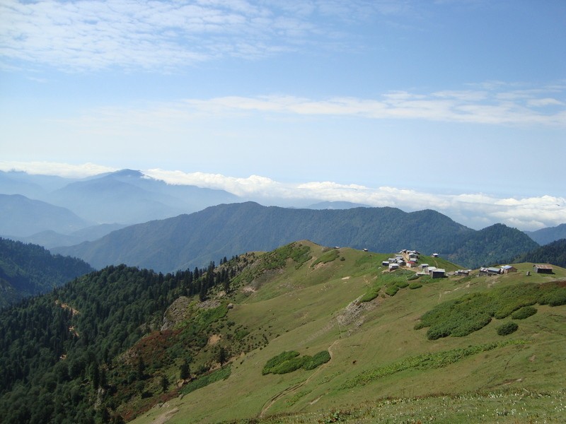 dsc01519i.jpg