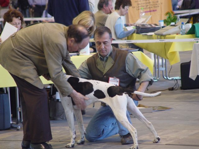 43berlinmeisterschaft20.jpg