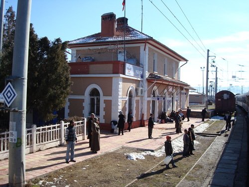 8162998.jpg