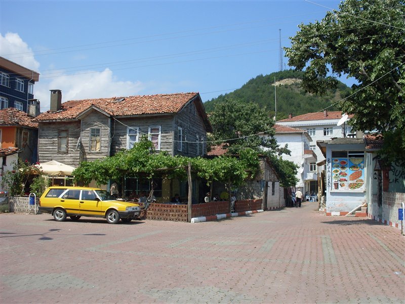 sdc10028proc12.jpg