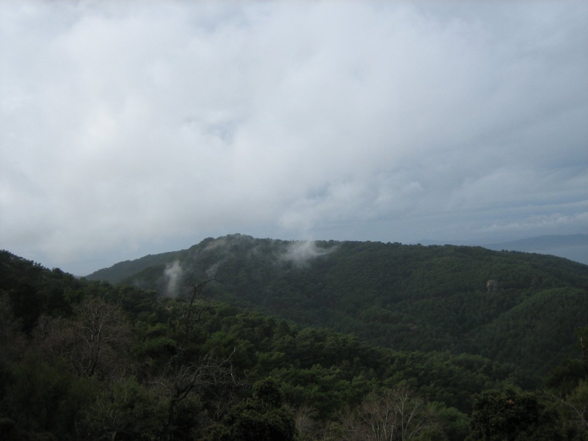 catalkaya026.jpg