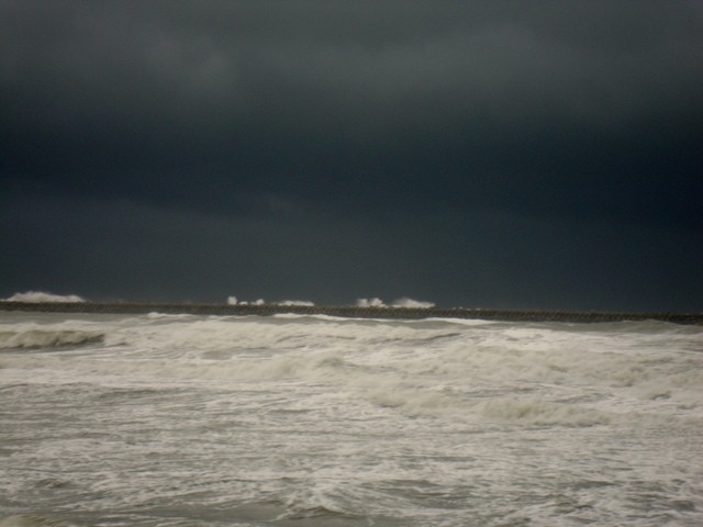 dsc001261m.jpg