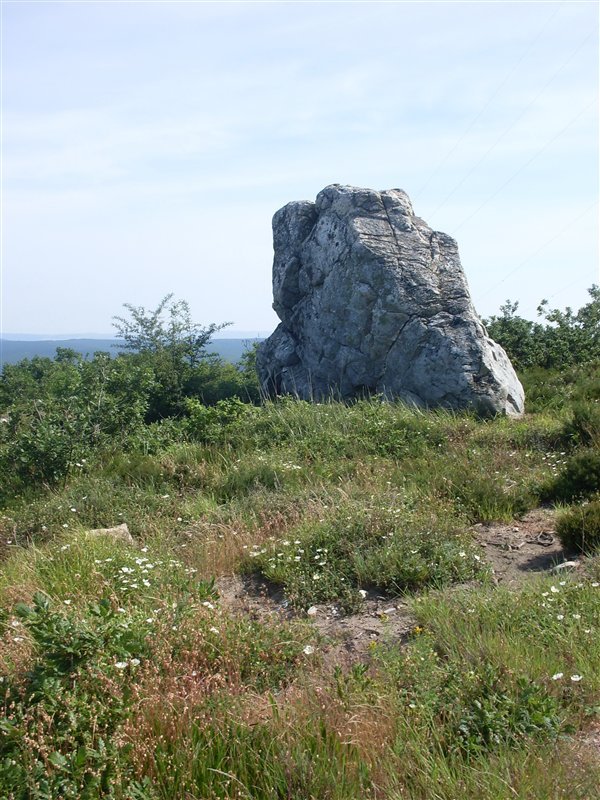 23451052.jpg