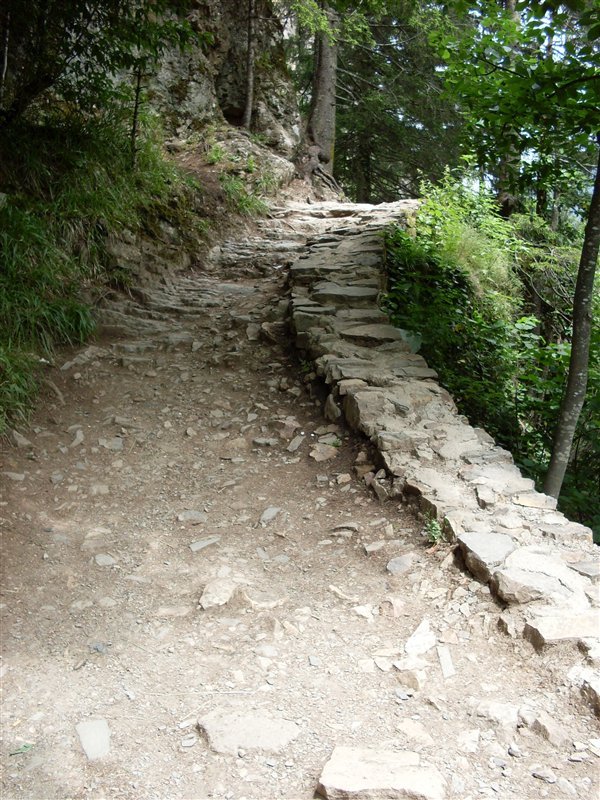 sdc10030proc15.jpg