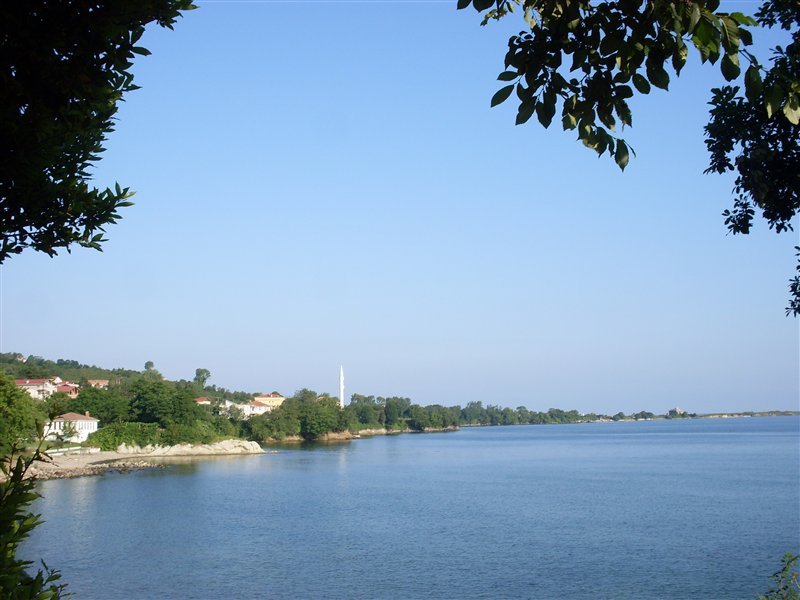 sdc10031proc18.jpg