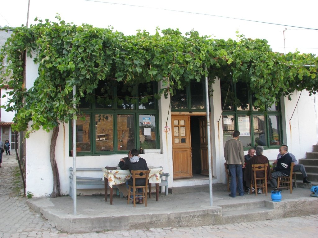 imroz020bl1.jpg