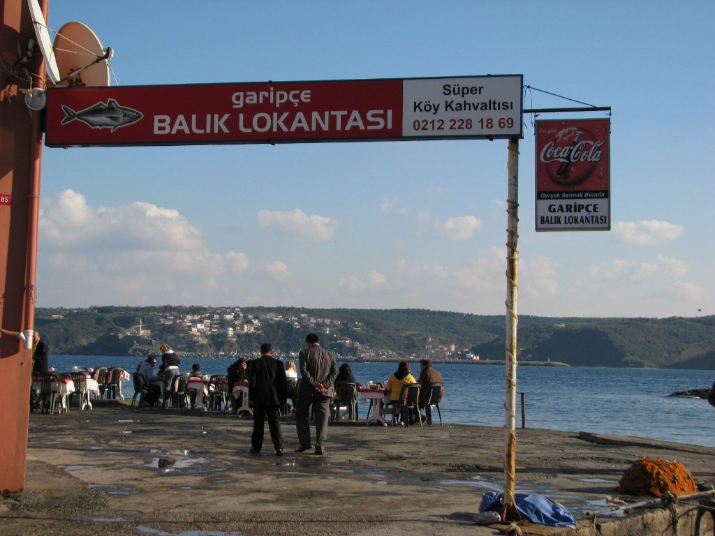 img4209pl1.jpg