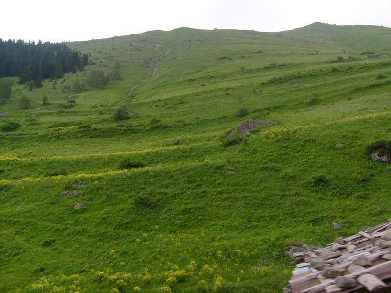 S6302563.jpg