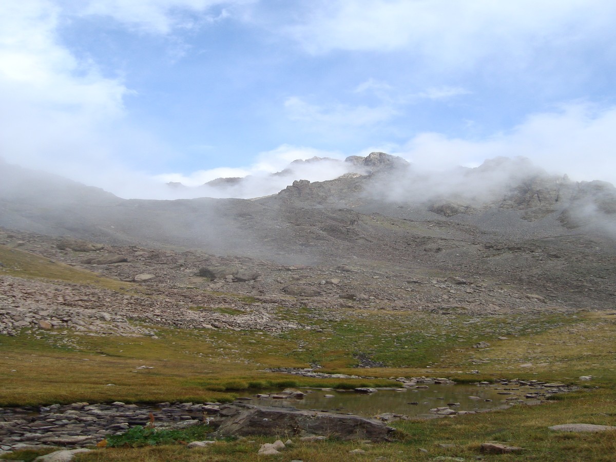 dsc02300f.jpg