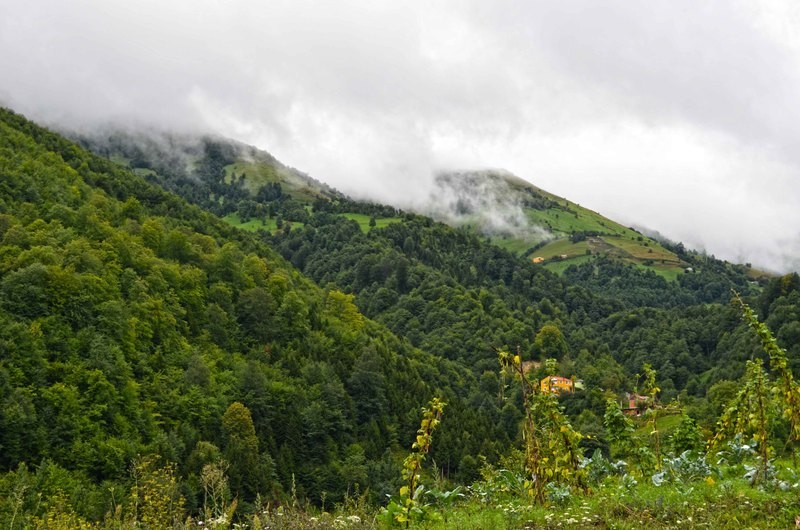 doukaradeniz290.jpg