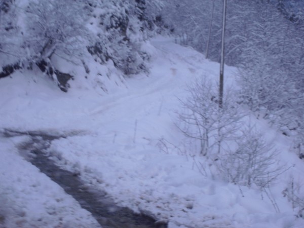 cimg3547600x450.jpg