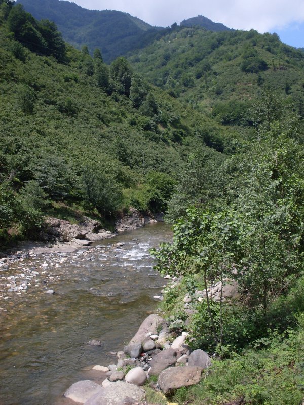 sdc10085proc8.jpg