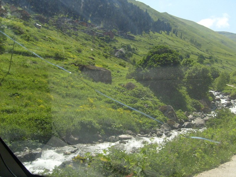S6302460.jpg