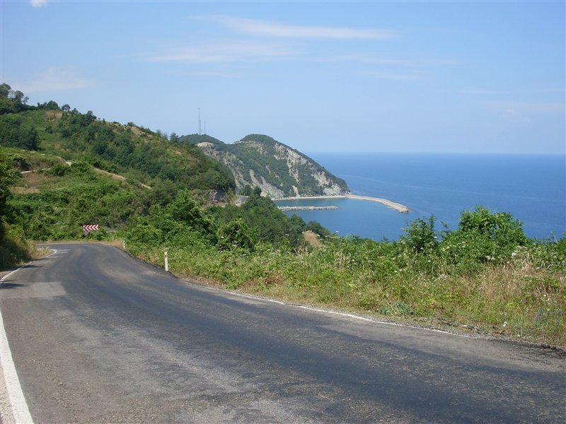 sdc10033proc15.jpg
