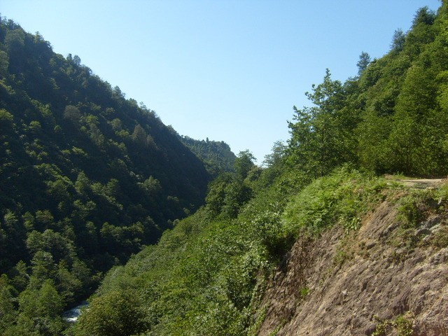 S6302438.jpg