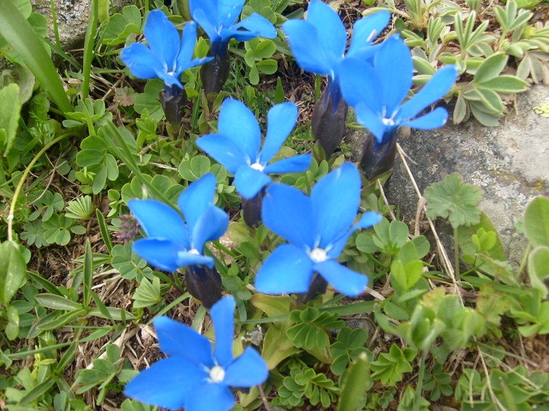 S6302517.jpg