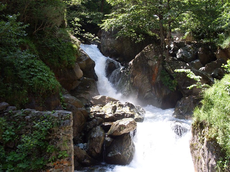 sdc10010proc1.jpg