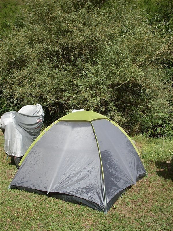 sdc10001proc2.jpg
