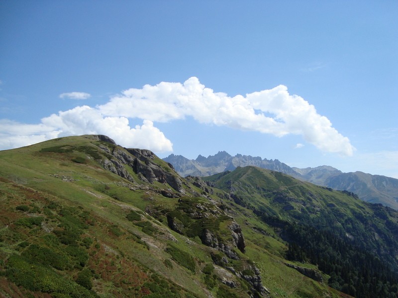 dsc014490.jpg