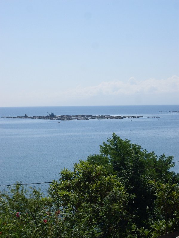 sdc10061proc7.jpg