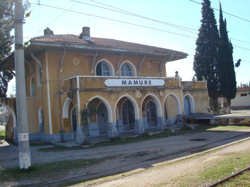8162524.jpg