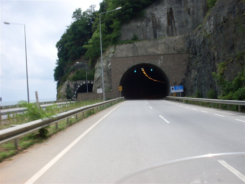 sdc10080proc8n.jpg