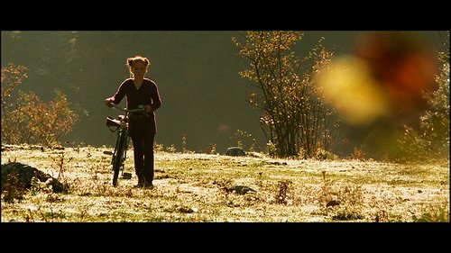 3606296996_34ebff2c3b.jpg