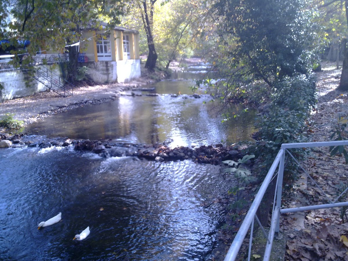 14112009279.jpg