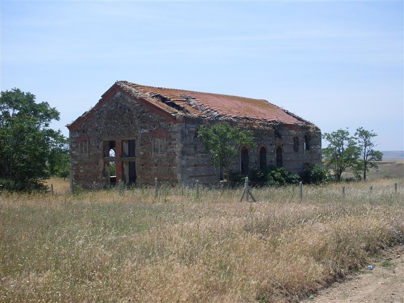 96197679.jpg