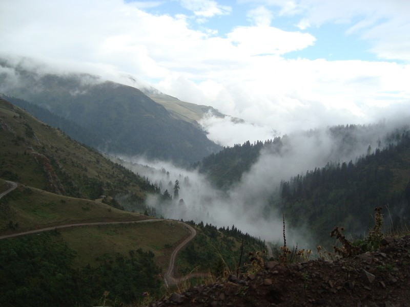 dsc00440m.jpg