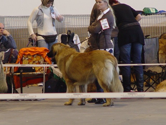 43berlinmeisterschaft20.jpg
