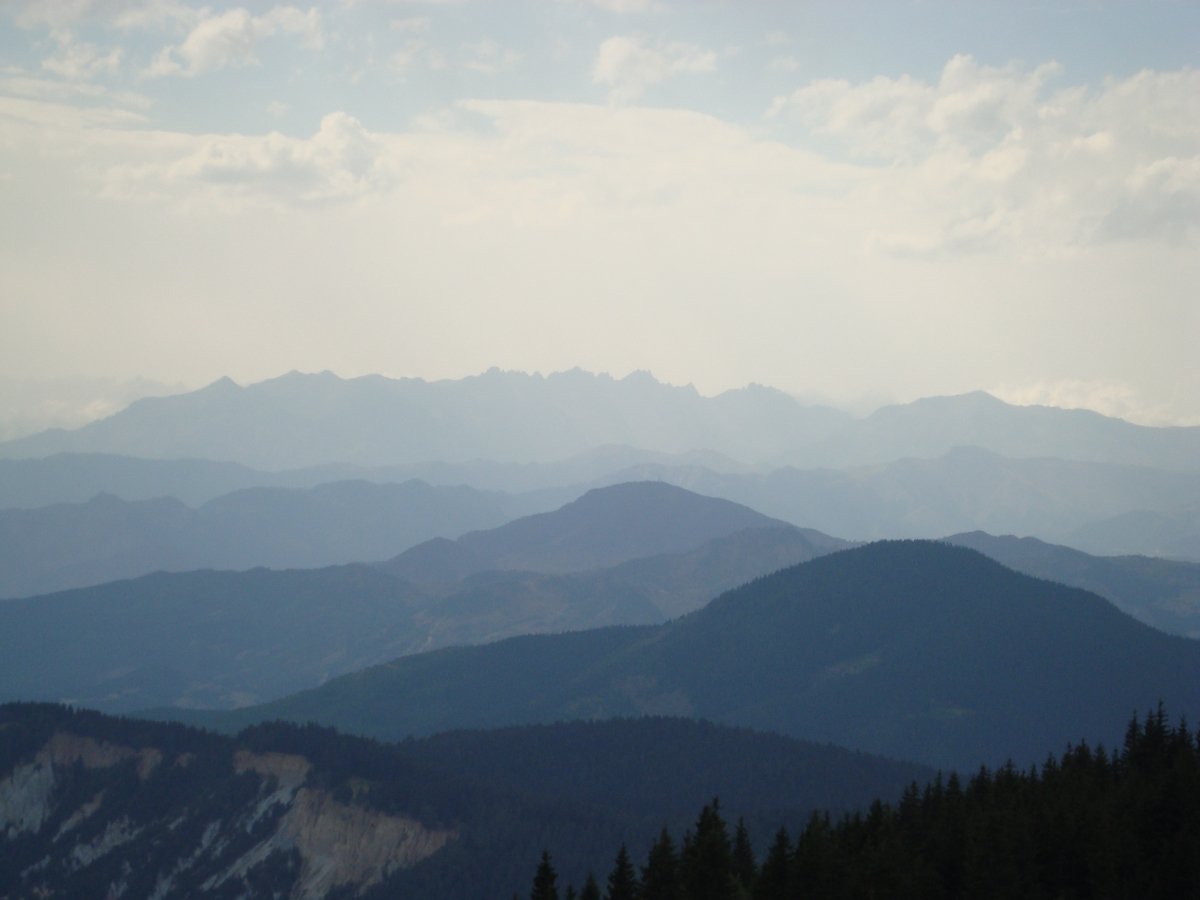 dsc01924.jpg
