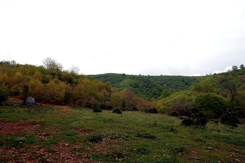 dsc7282.jpg