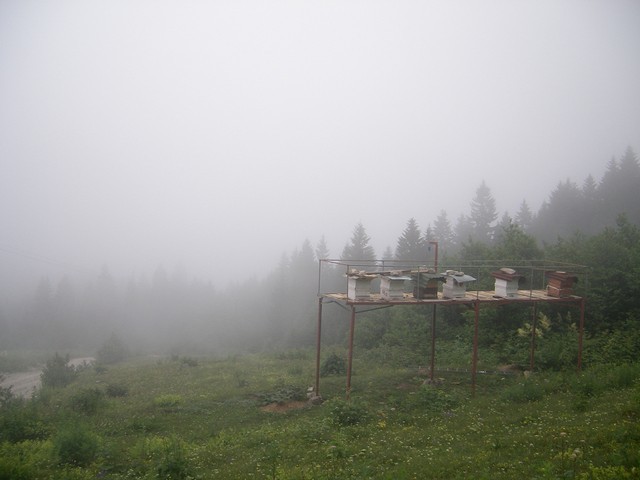 94421622.jpg