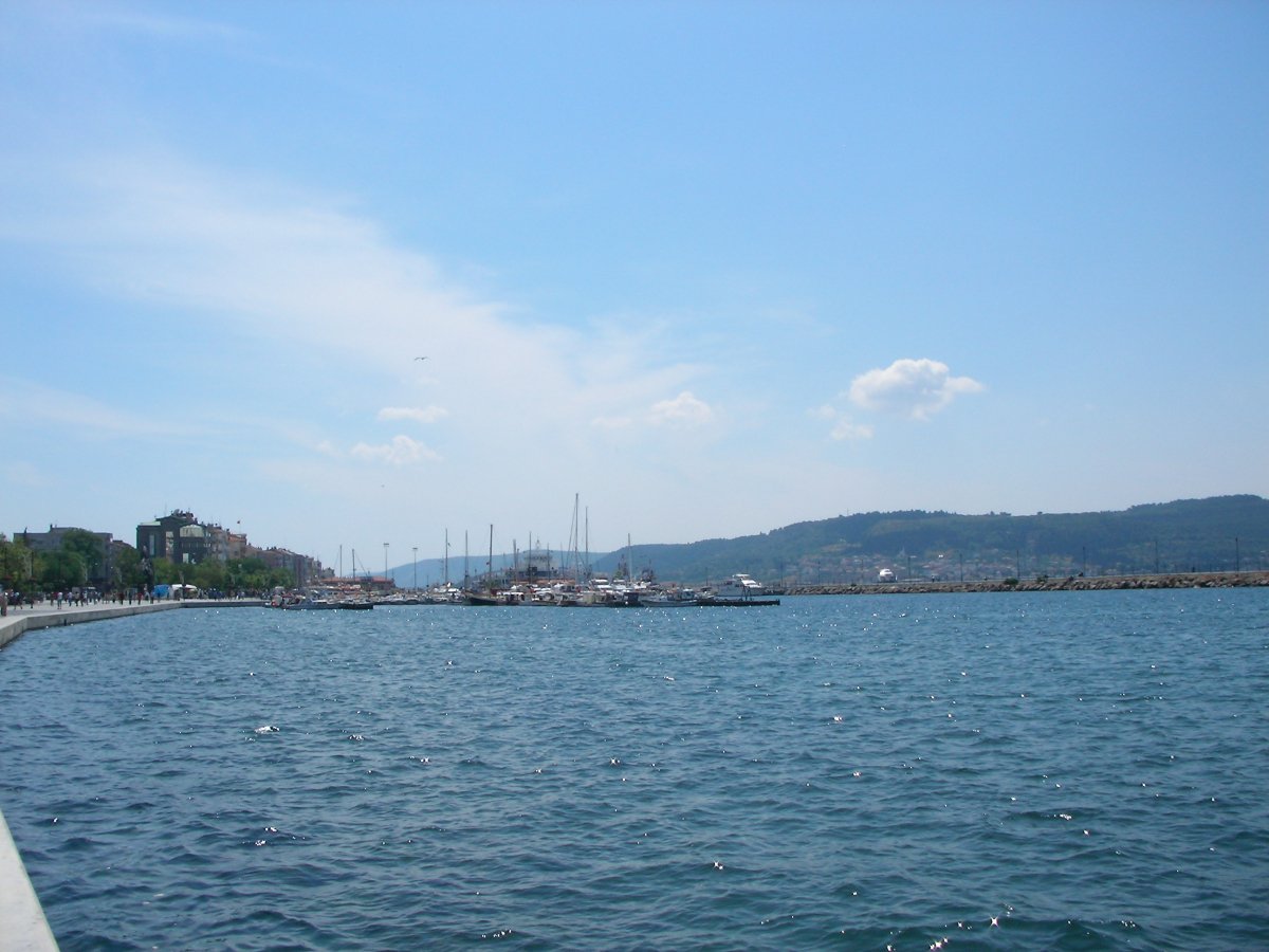 d745.jpg